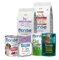 MONGE