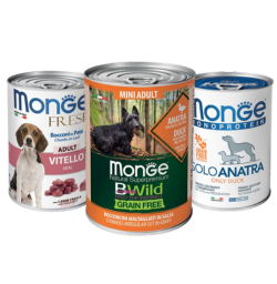 MONGE