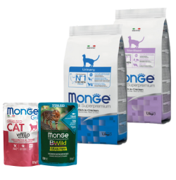 MONGE
