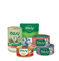 OASY